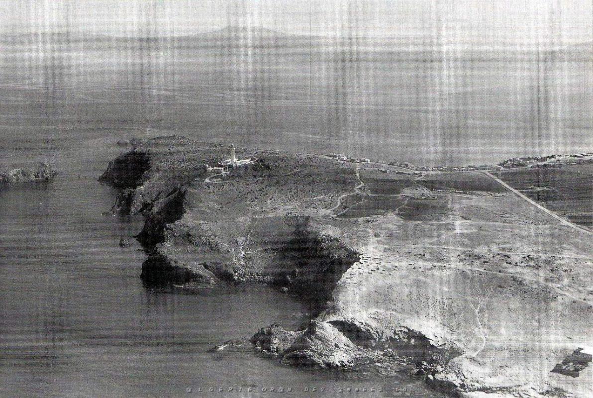 CAP FALCON PAR MONNERET   (1).JPG